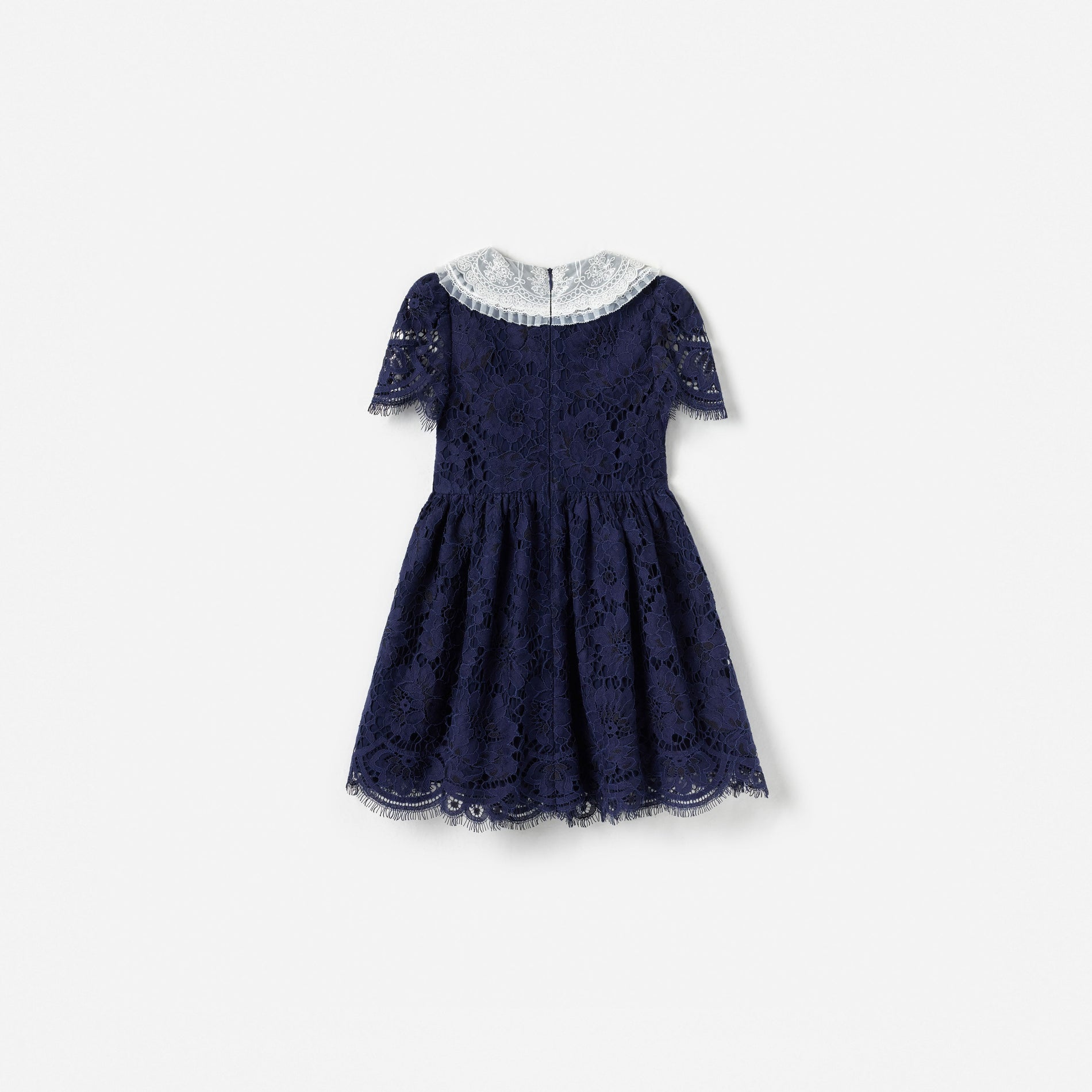 Navy Floral Lace Dress