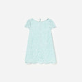 Mint Lace Collared Dress