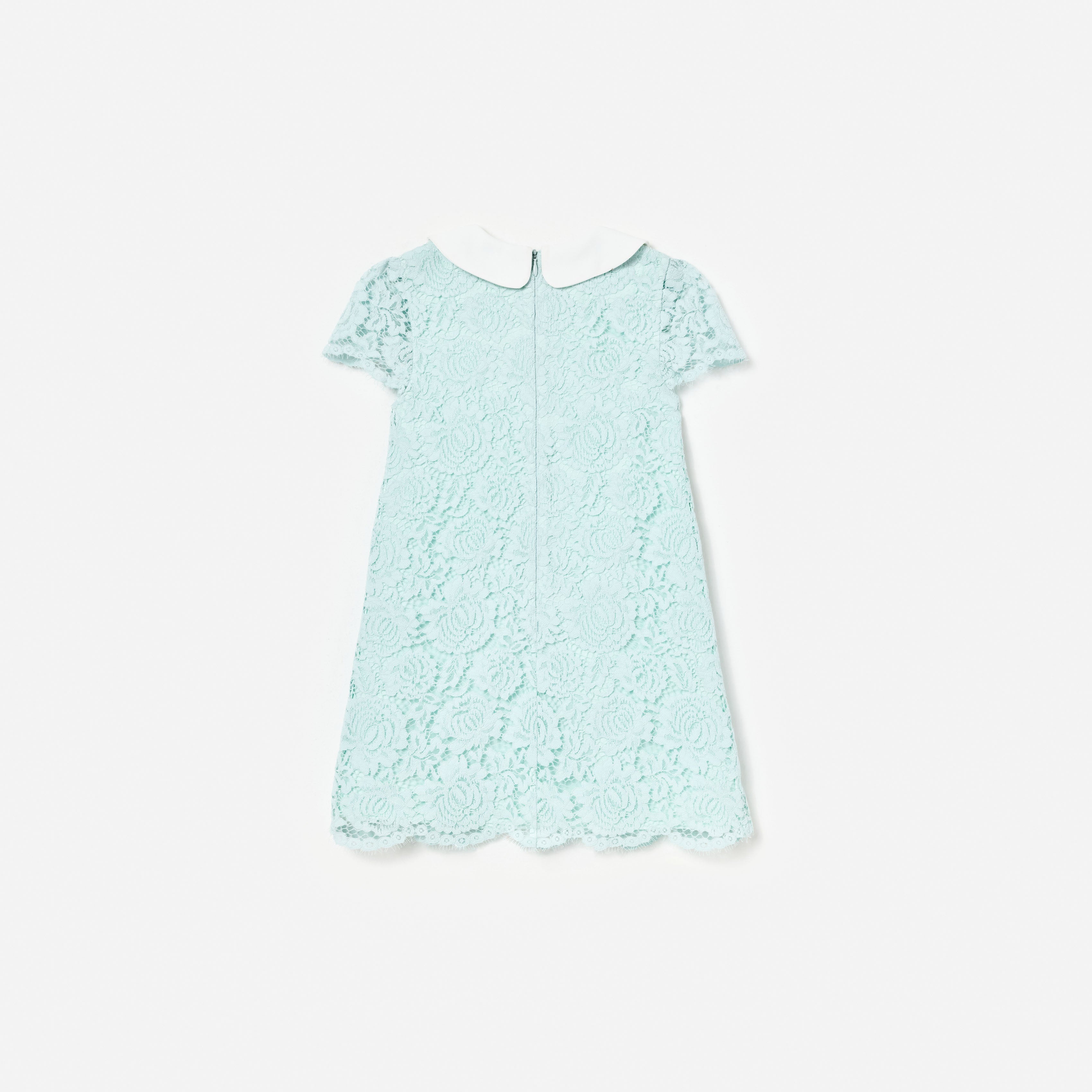 Mint Lace Collared Dress