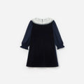 Navy Velvet Contrast Collar Dress