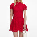 Red Fine Lace Mini Dress