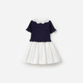 Navy Knit Pleated Dress