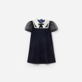Navy Velvet Tulle Flower Trim Dress