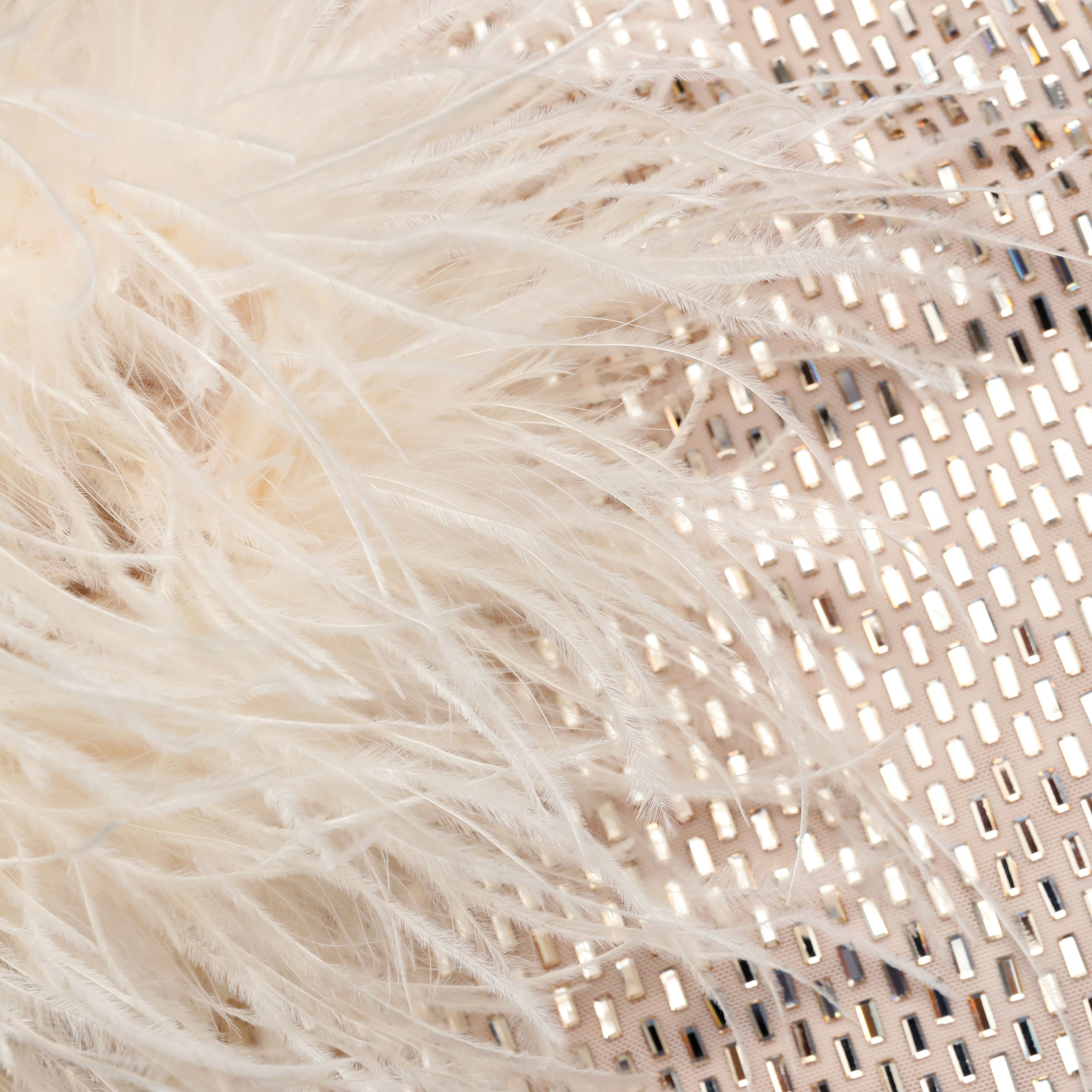 Champagne Rhinestone Feather Top