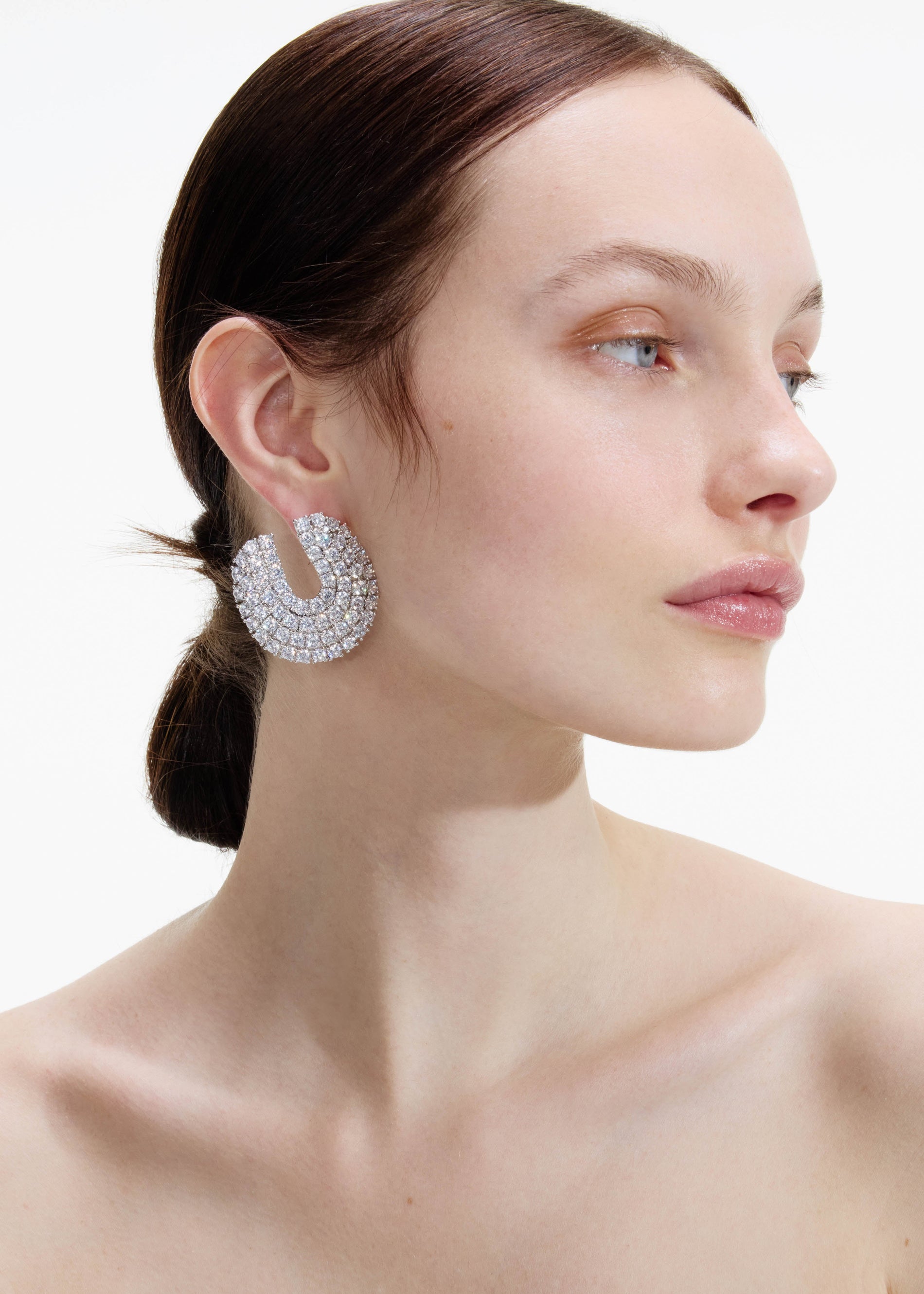A photo of the Crystal Curved Earrings